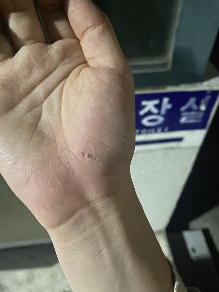 단비주유소 이미지