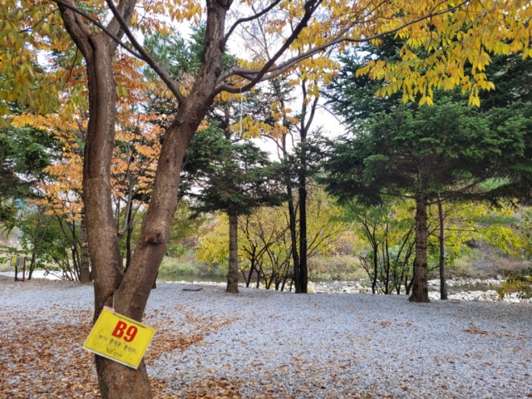 한스캠핑장 이미지