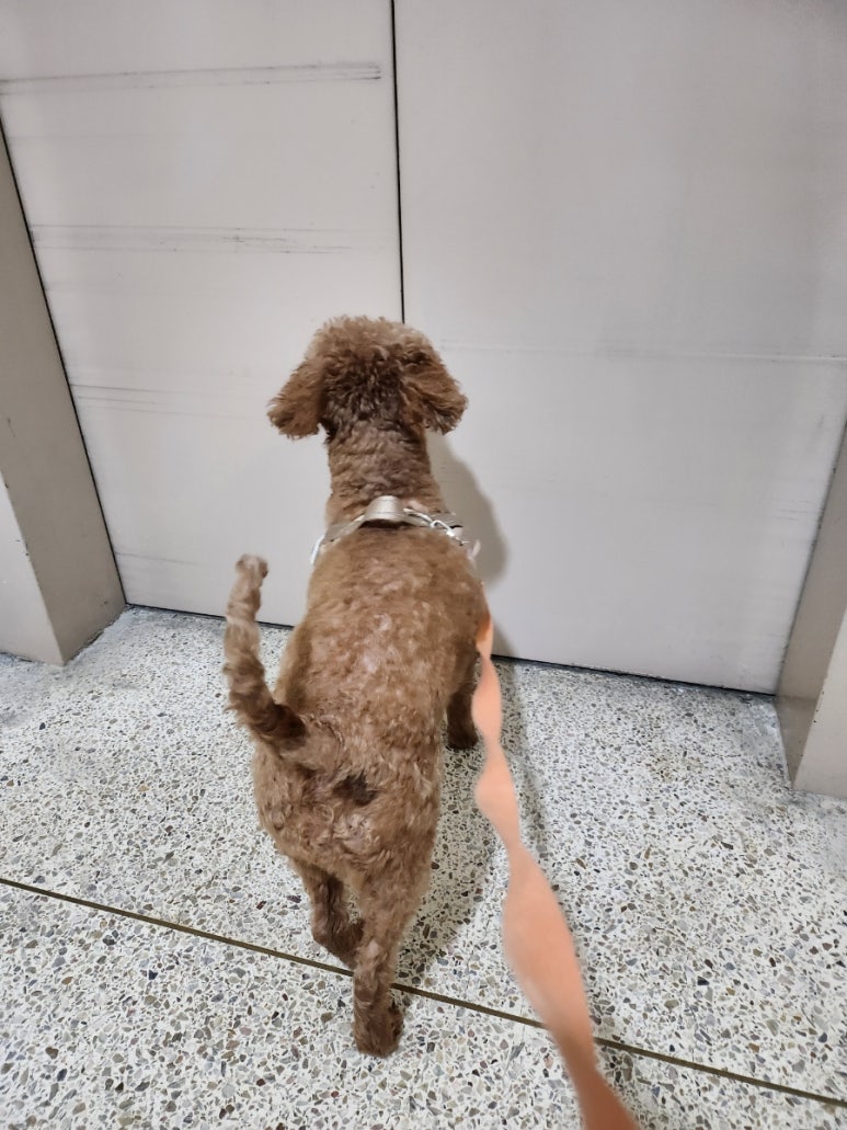 옥순이네포차 이미지