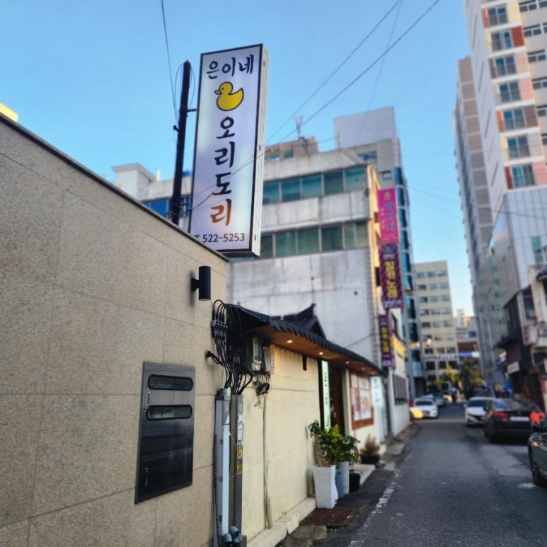 은이네오리도리 이미지