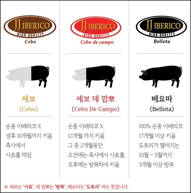 이베리코공장 이미지