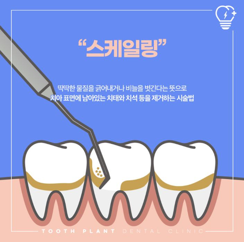 치아발전소치과의원 이미지