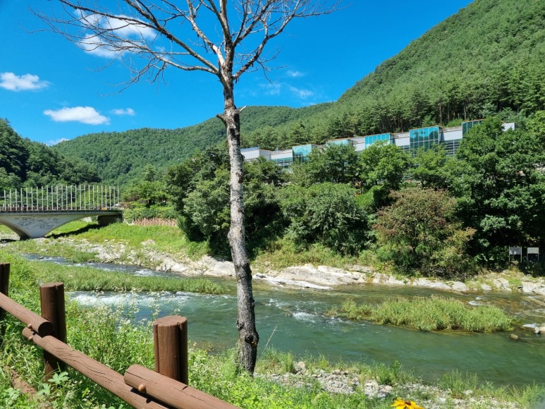 한국문화역사연구원 이미지