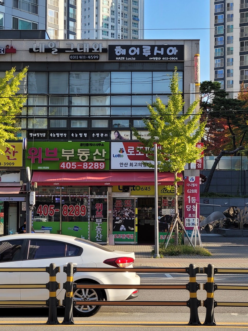 다니엘사 이미지