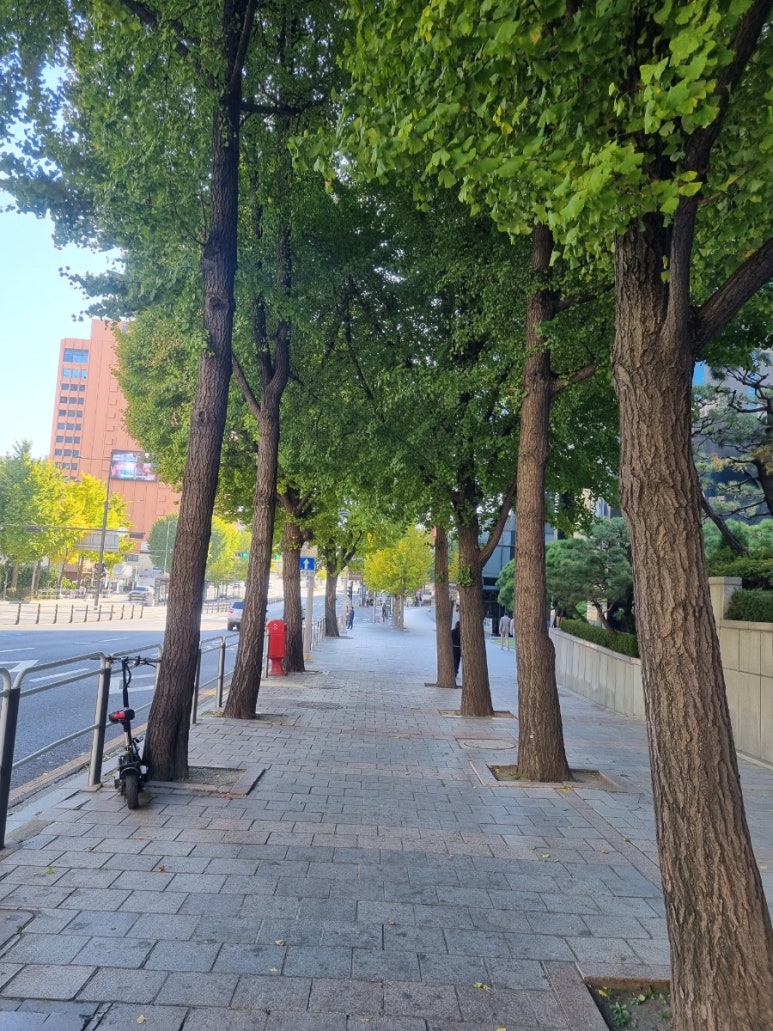 스타벅스 충정로역점 이미지