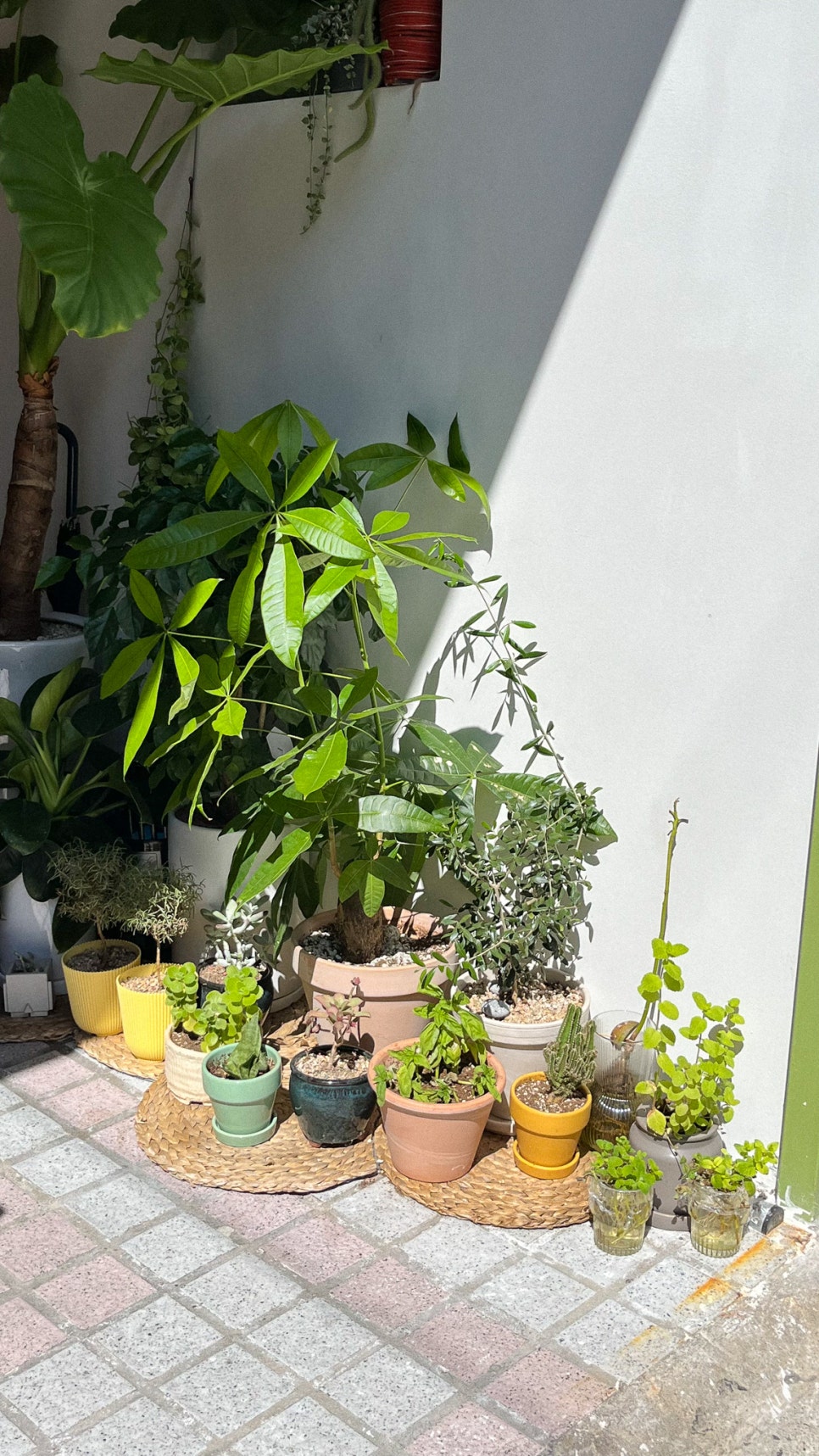 루티드(Rooted) 이미지