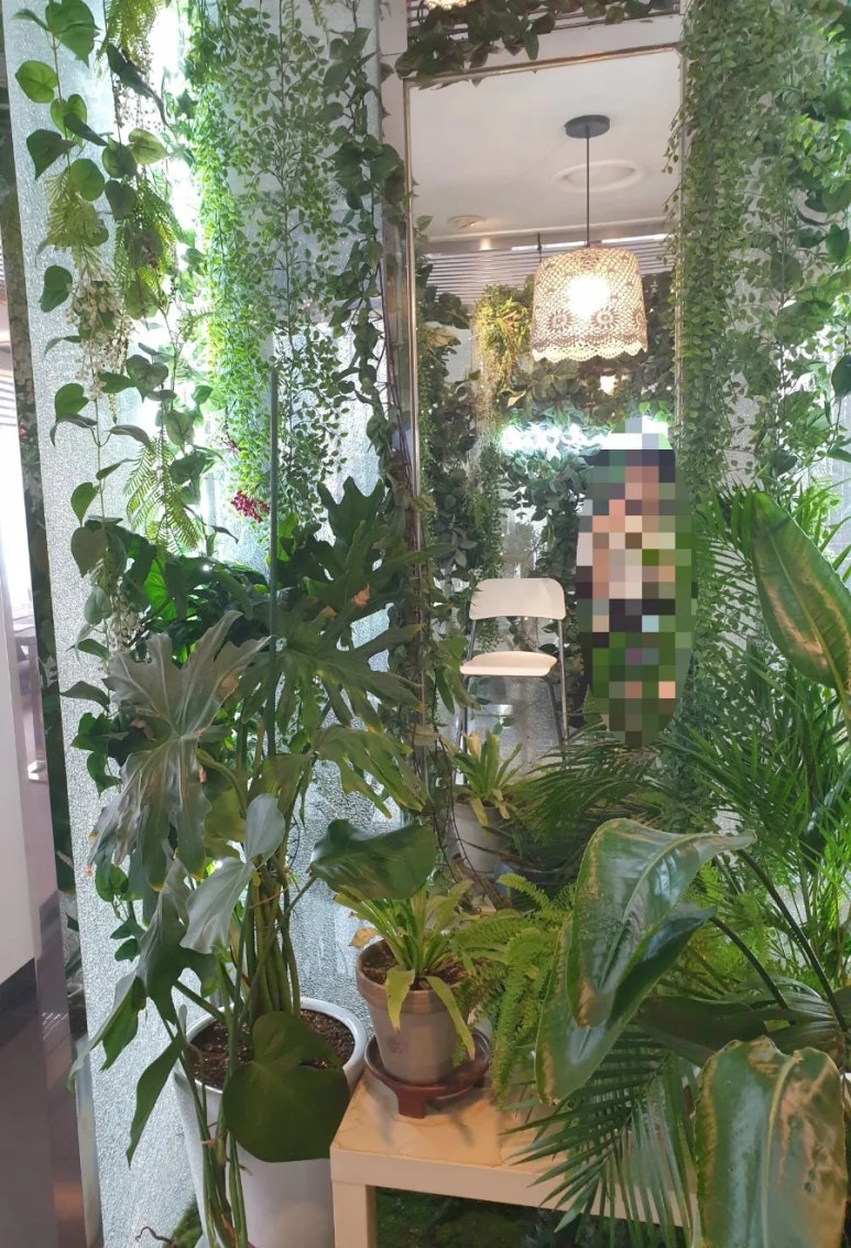 디스앤댓서울 이미지