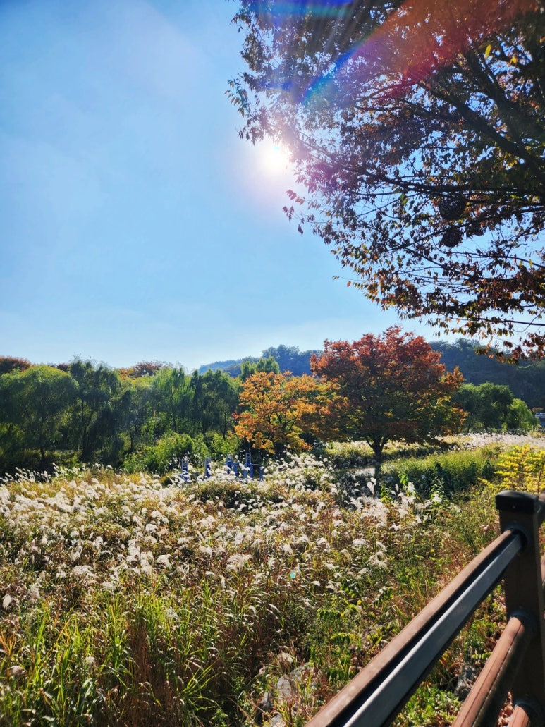 예술이용원 이미지