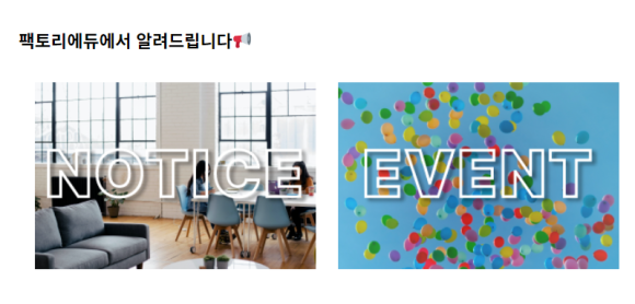 몰드케어 이미지