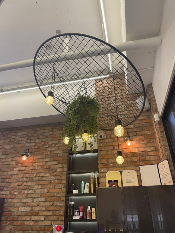 살롱물들다 이미지