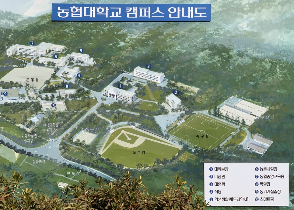 농협대학교 이미지
