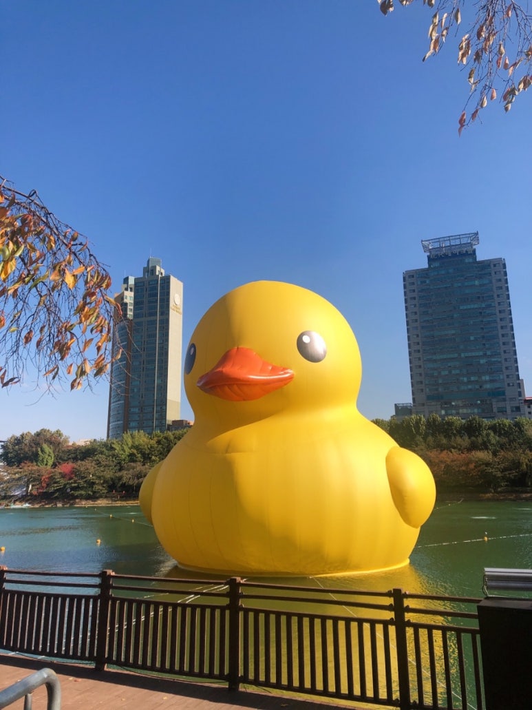 덕은데크 이미지