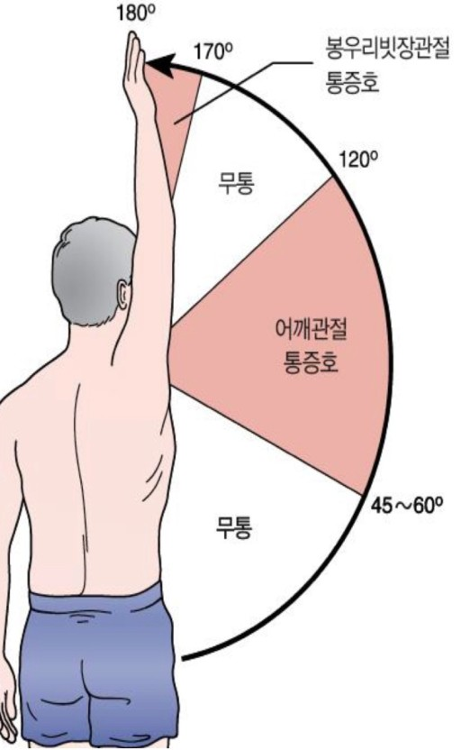 노블레스짐 이미지