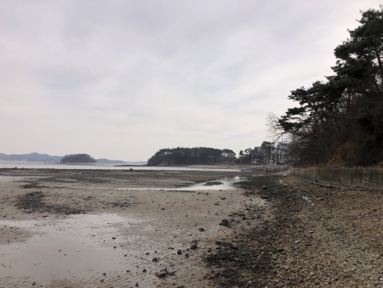 선재도민박 이미지