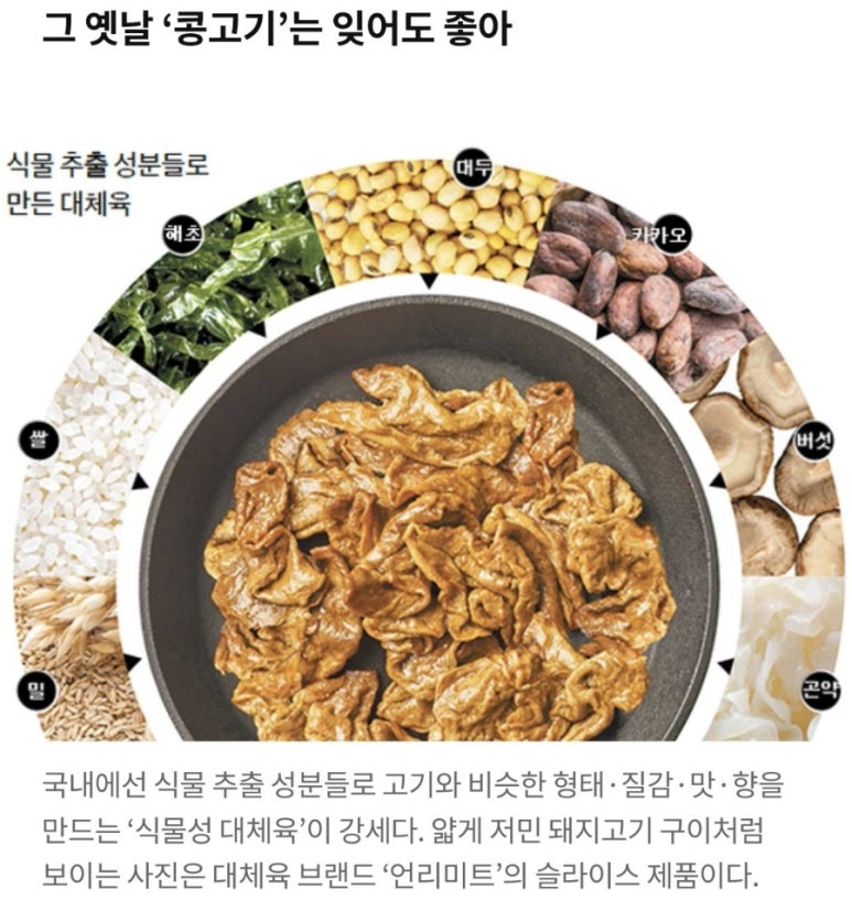 넥스트젠푸드 이미지