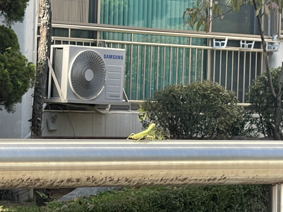 다모아세탁소 이미지
