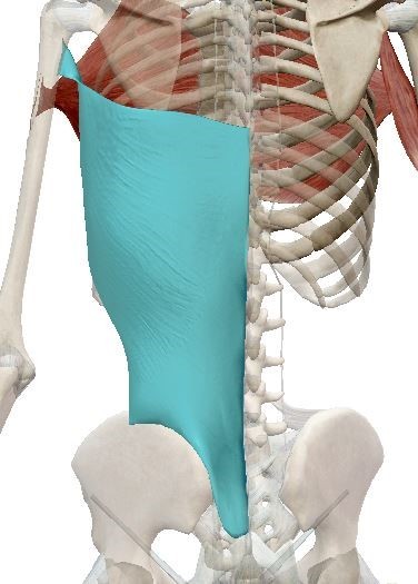 팀스톤짐 이미지