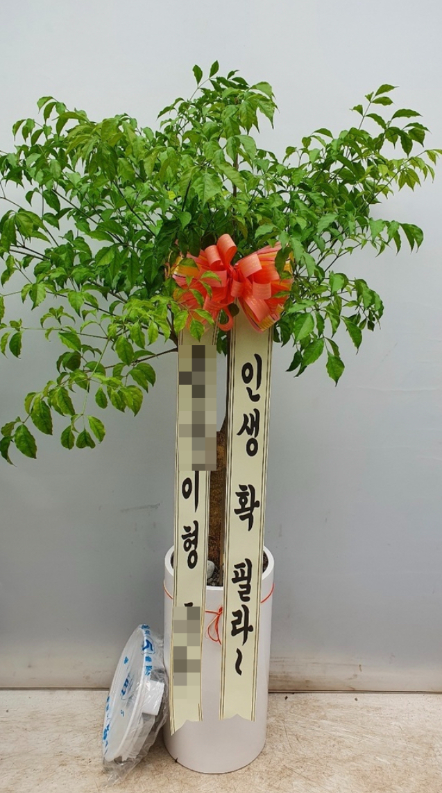 마곡꽃과나무 이미지