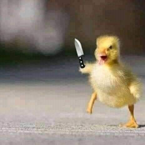 해브커피 이미지