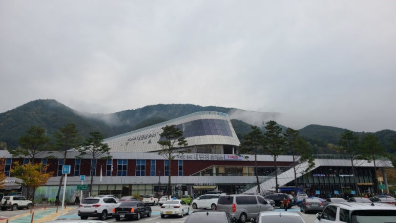 내린천유통 이미지
