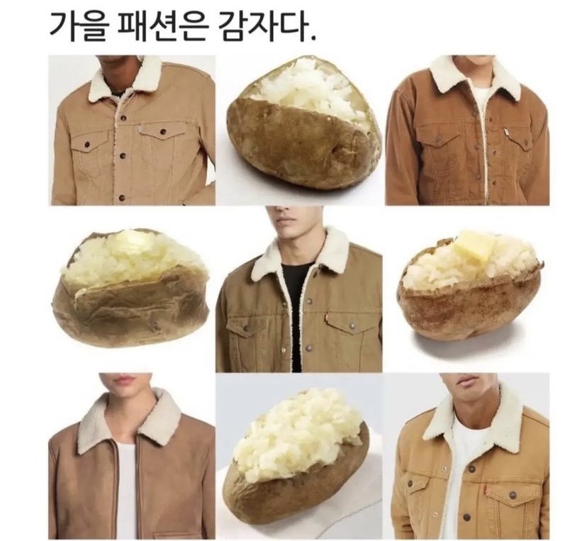 또또바 이미지