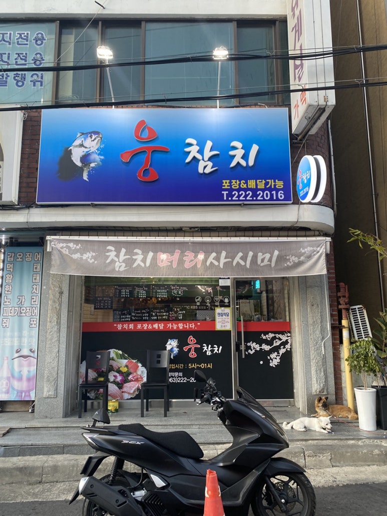 웅참치 이미지
