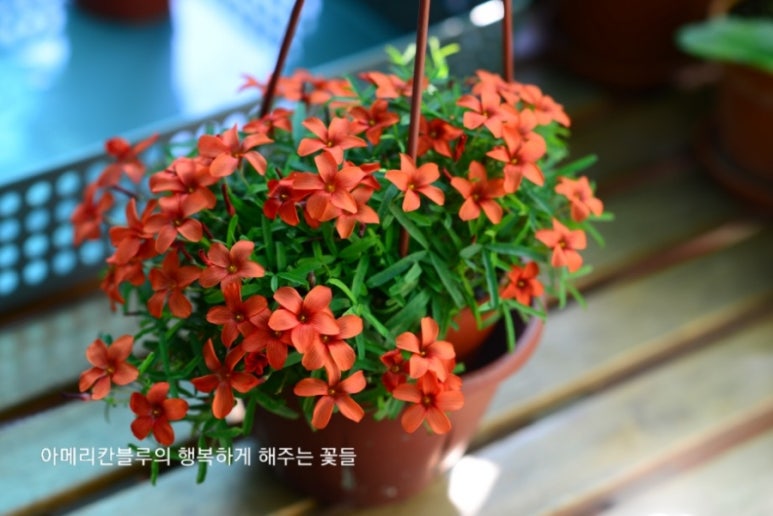 오늘도더예쁨 이미지
