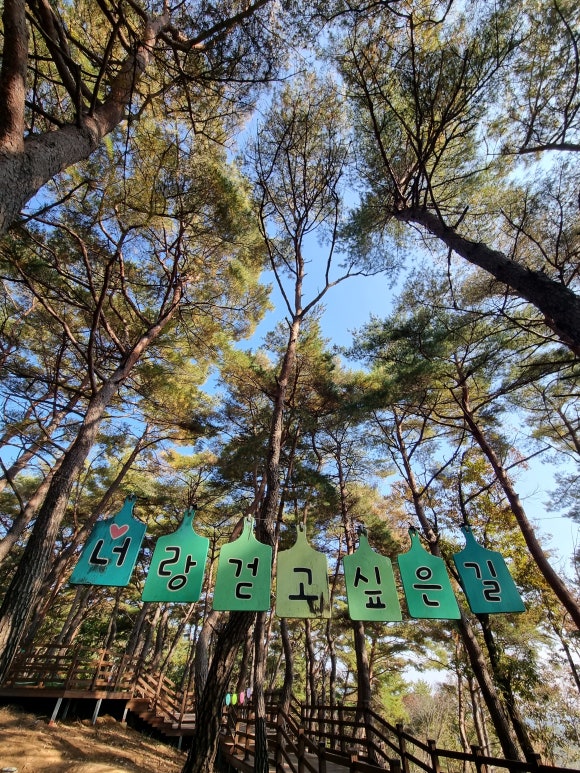 소금산소머리국밥 이미지