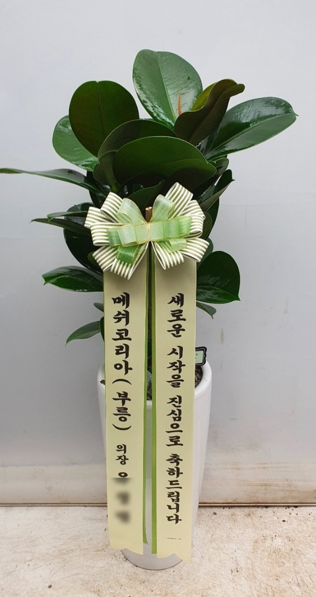 마곡꽃과나무 이미지
