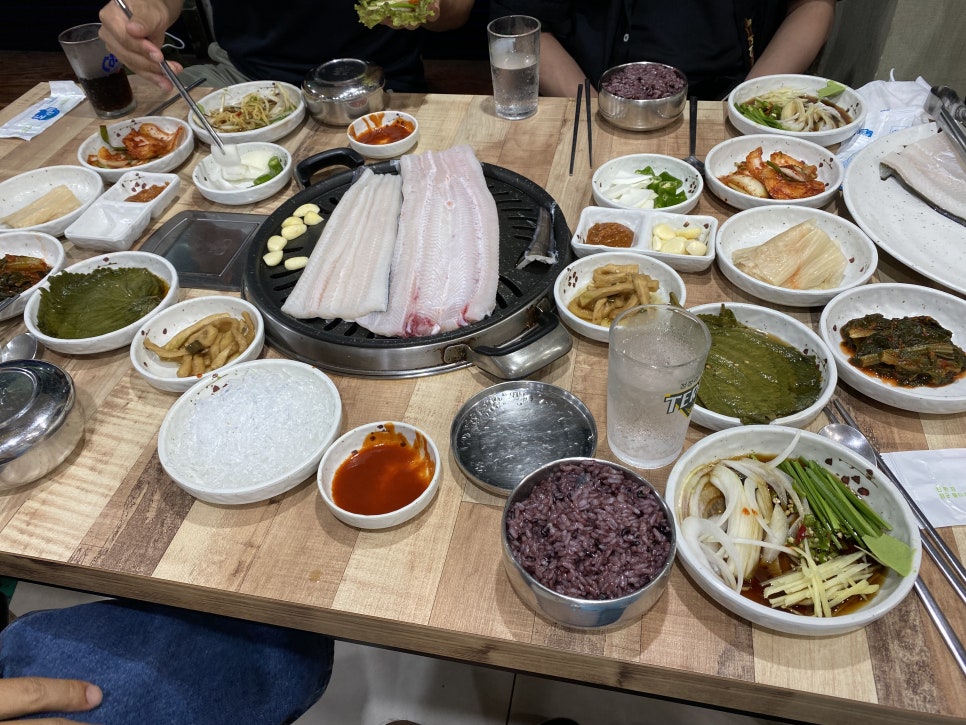 노형바다장어 이미지