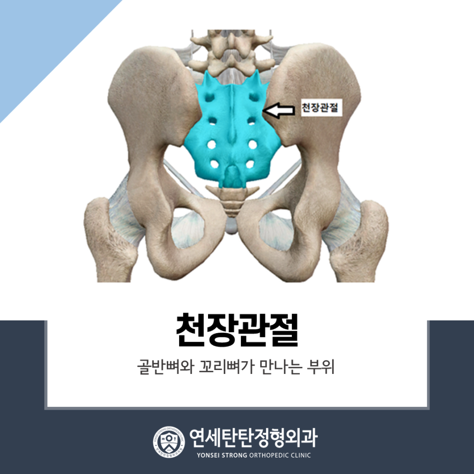 탄탄정형외과 이미지
