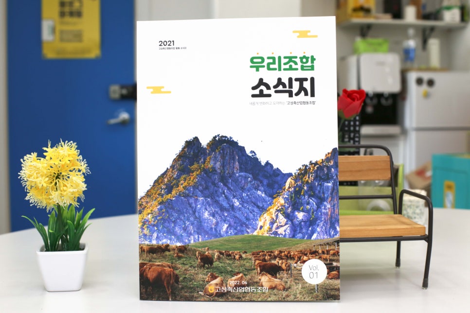 고성디자인 이미지