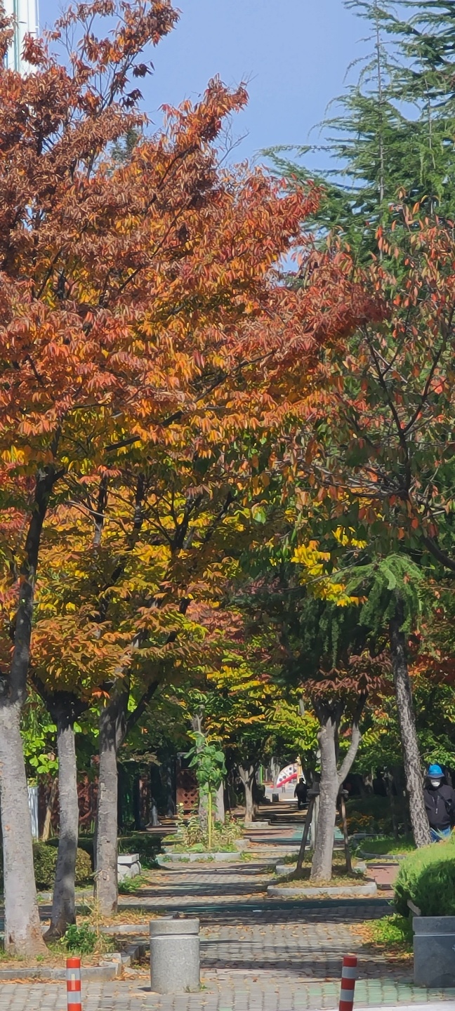 우미사 이미지