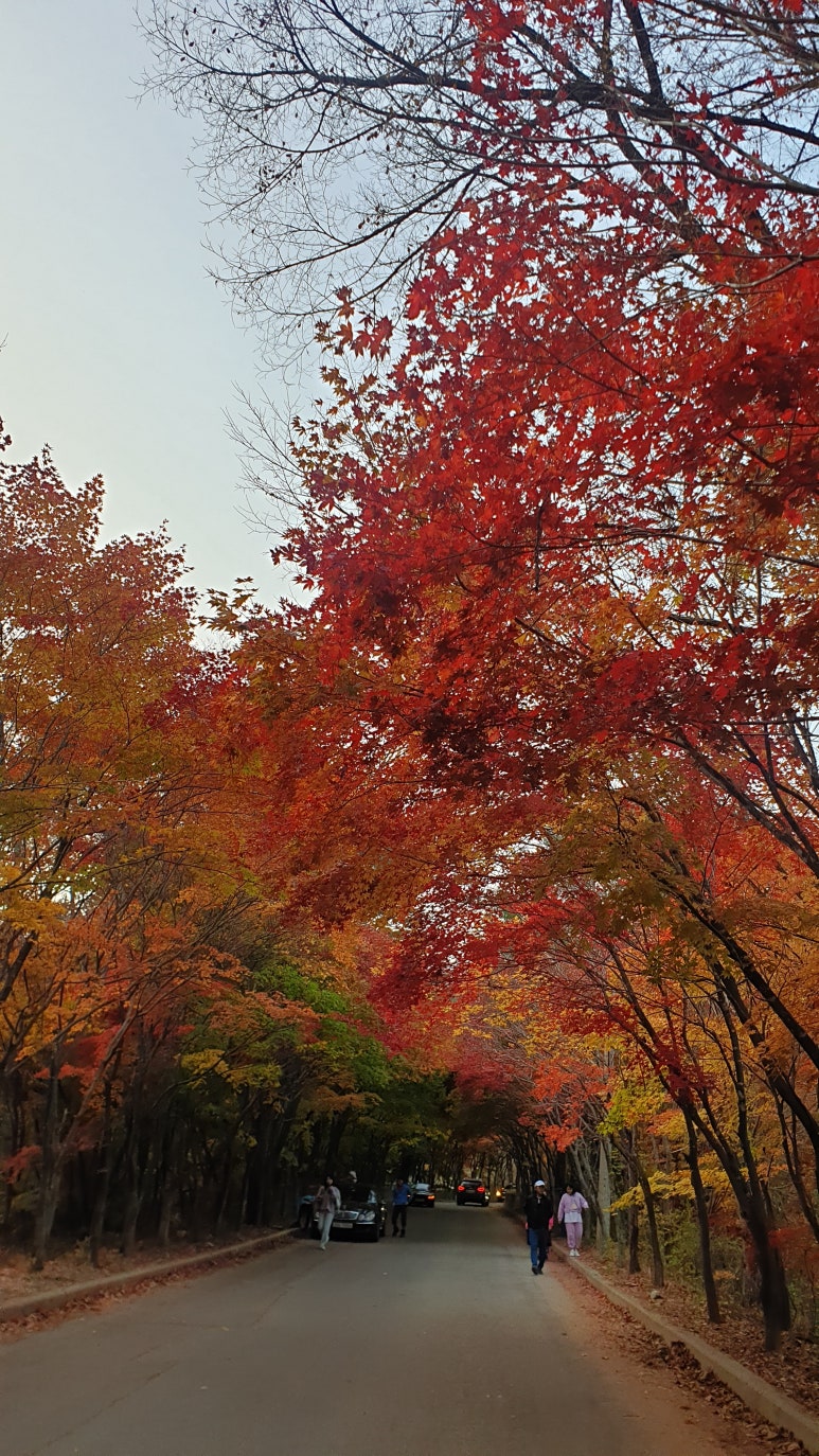 (주)샬롬환경 이미지