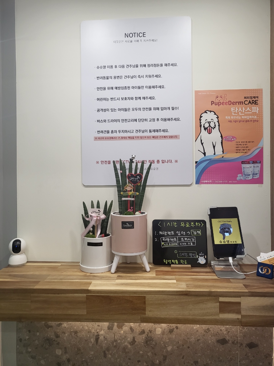 두드림치킨 마곡점 사진 6