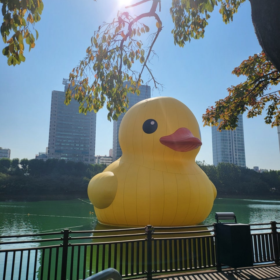 서울덕은치과 이미지