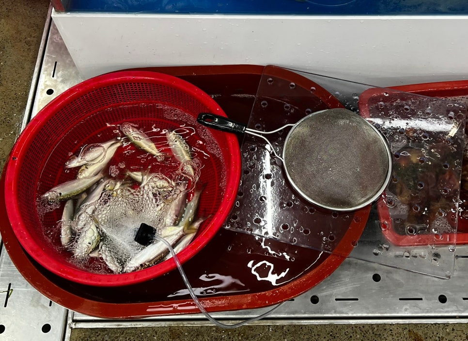 연희수산 이미지