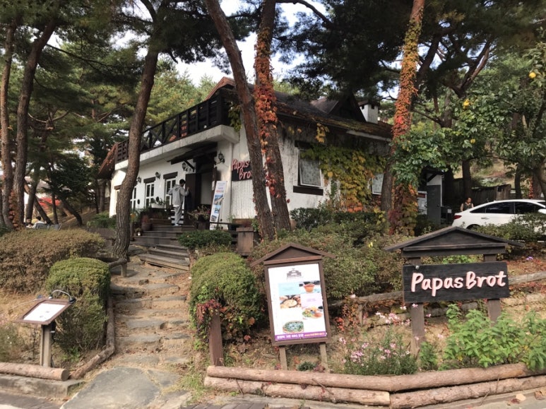 파파스브로트 이미지