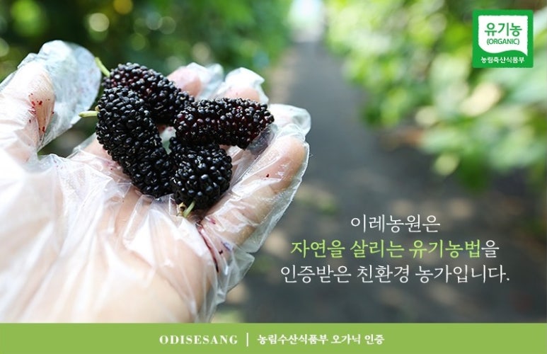 이레환경 이미지