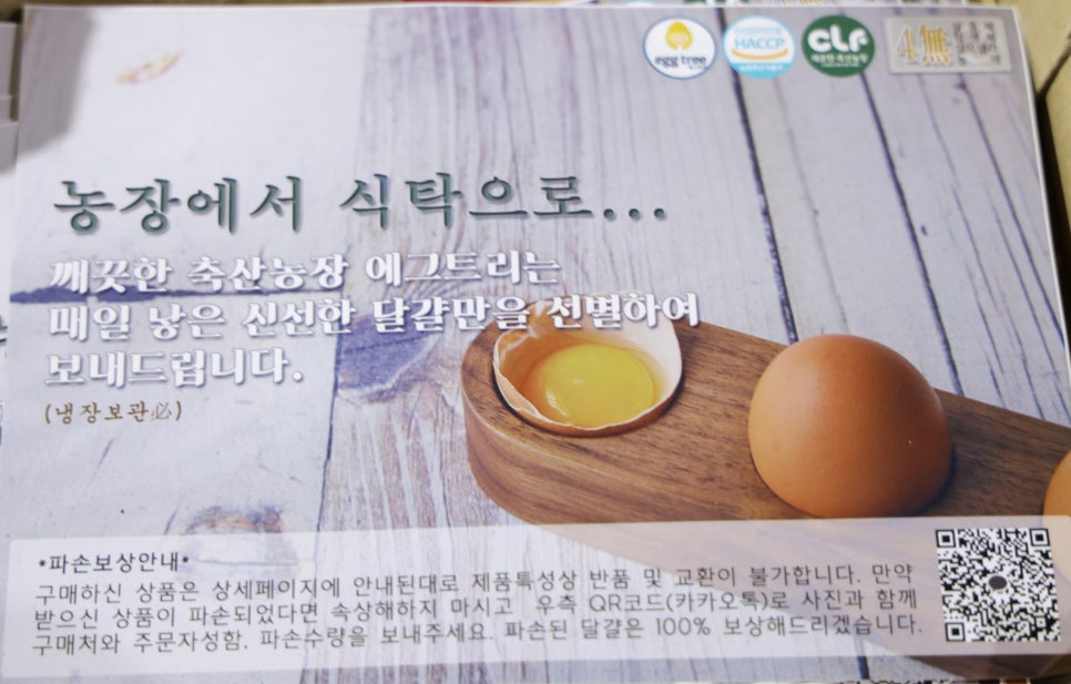 에그트리 이미지