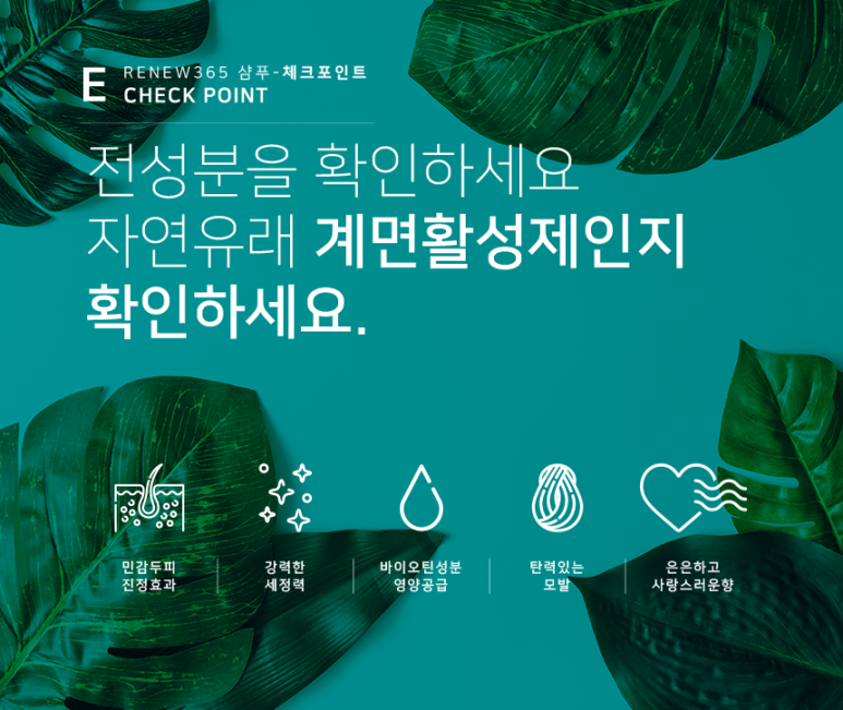 리뉴마켓 이미지