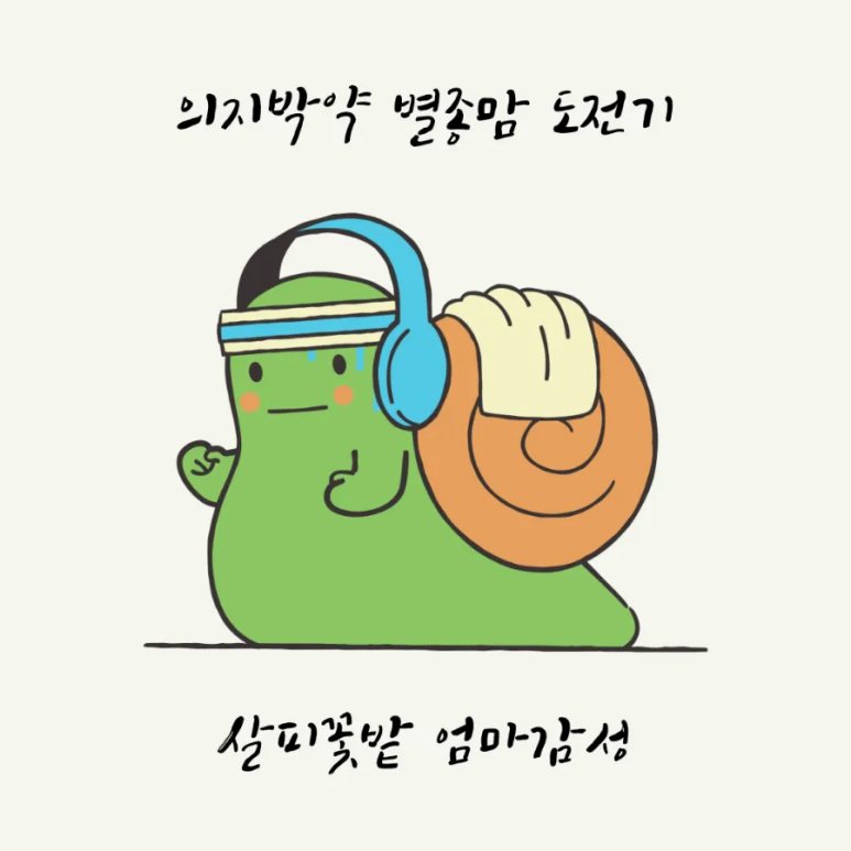 플랜다 이미지