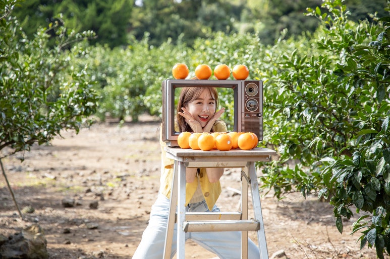 제주890 이미지