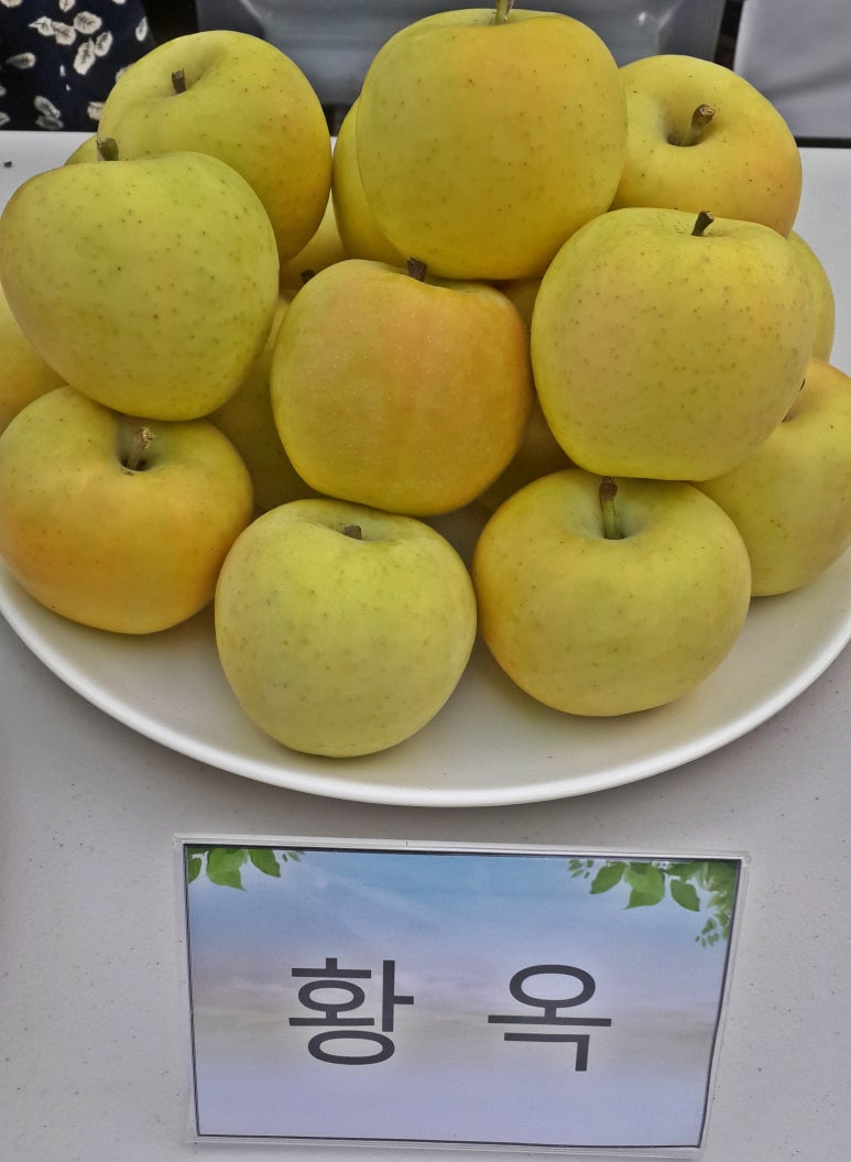 태산농원 이미지