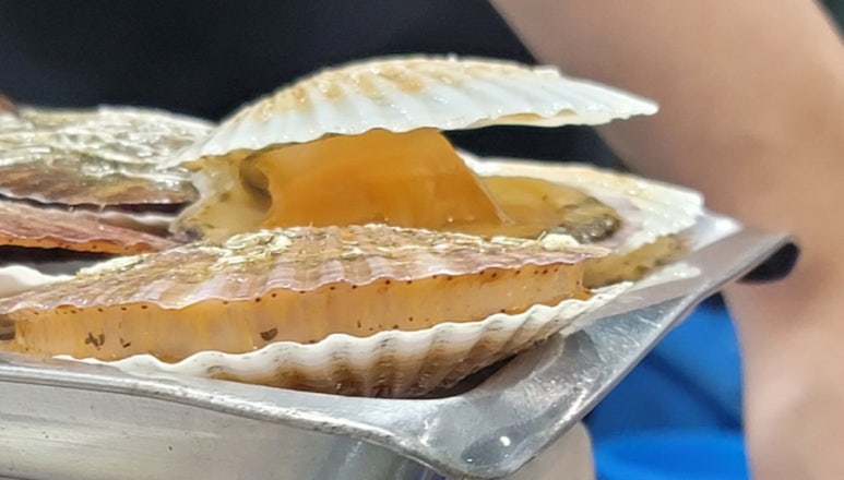 찬영수산 이미지
