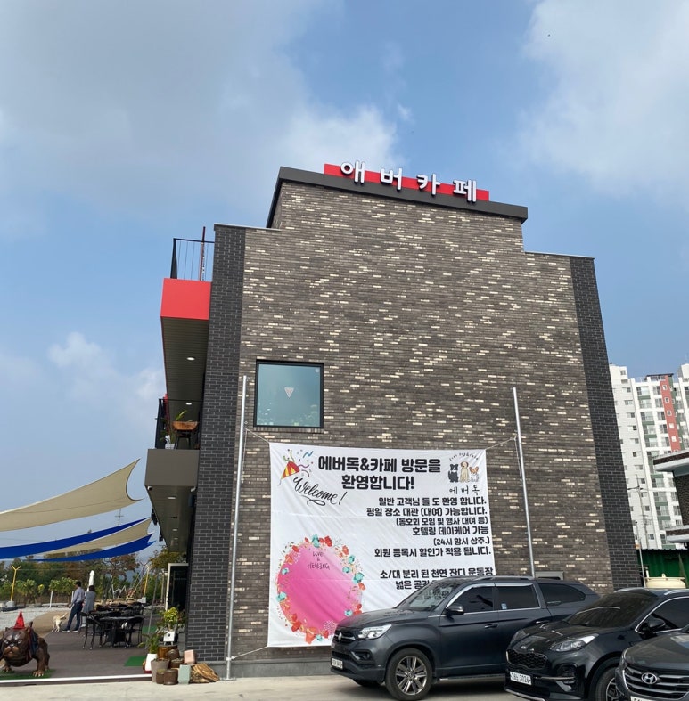 에버독 이미지