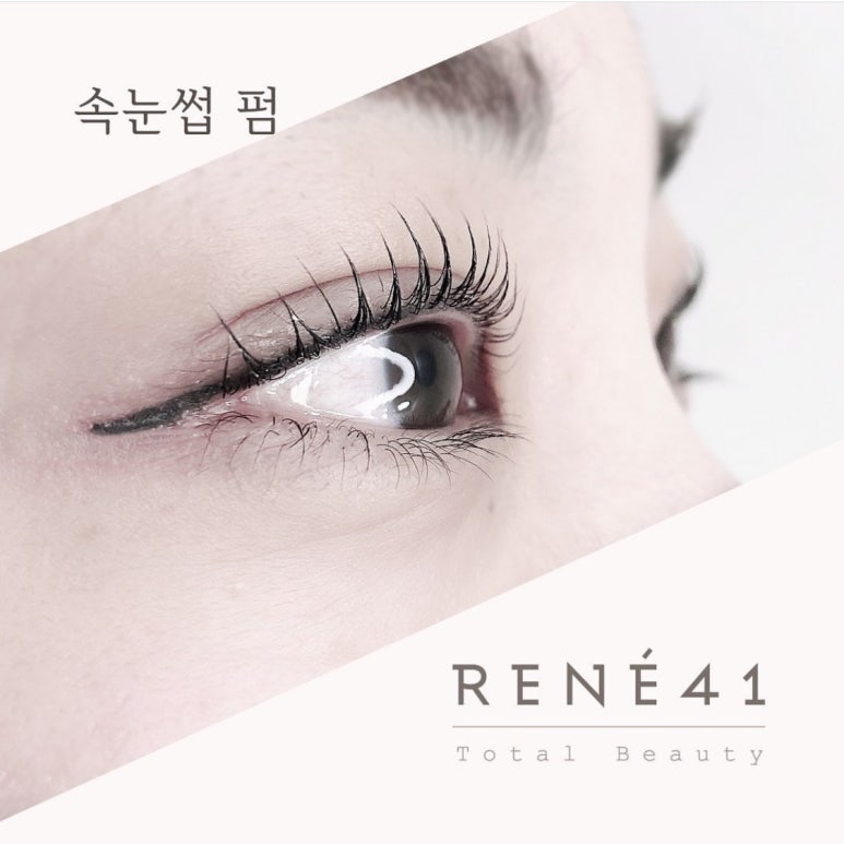 르네41 이미지