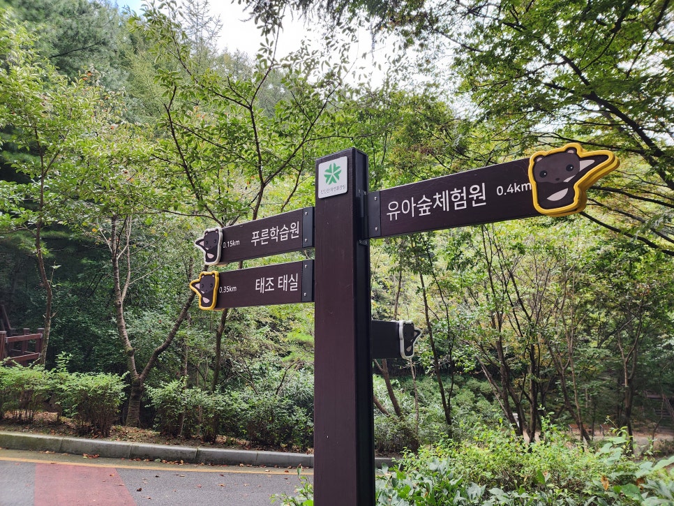 만인산 유아숲체험원 이미지