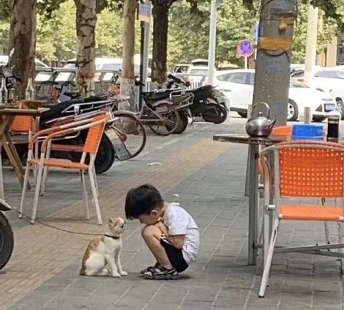 사이야 이미지