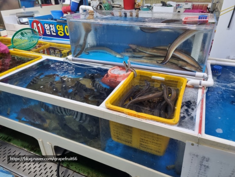 영아상회 이미지